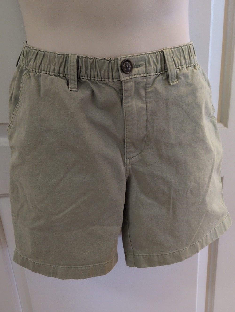 chubbies Shorts
